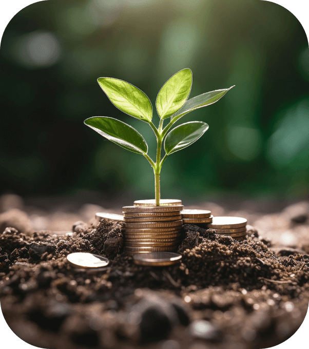 Anapadikkal Community Development Fund