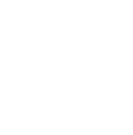 Transparent-image-1