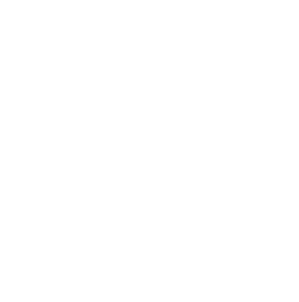 banner-vector-img