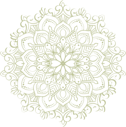 media-vector-img