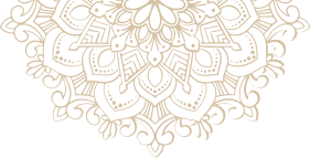vector-img