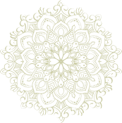 vector-img
