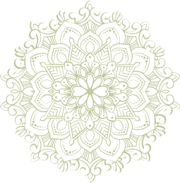 media-vector-img